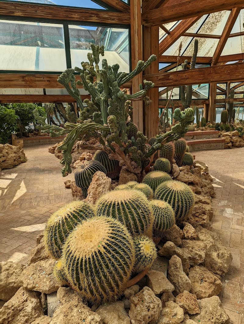 Rock Garden